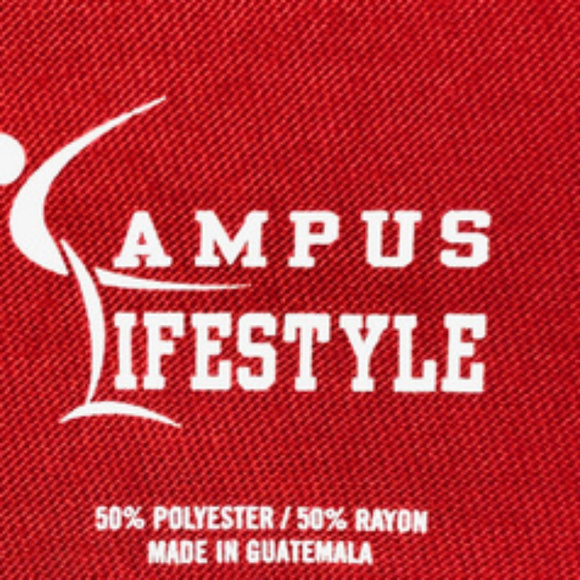 Wisconsin Badgers Women's Tee - NWOT! - Picture 2 of 4